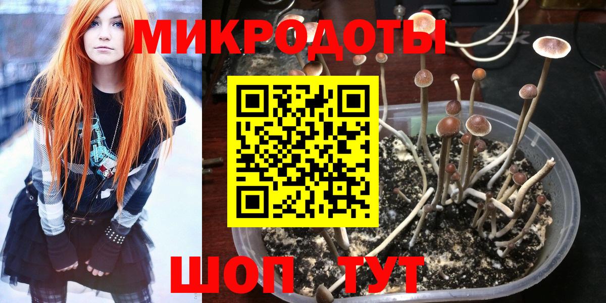 Галлюциногенные грибы ЛСД  Татарск 