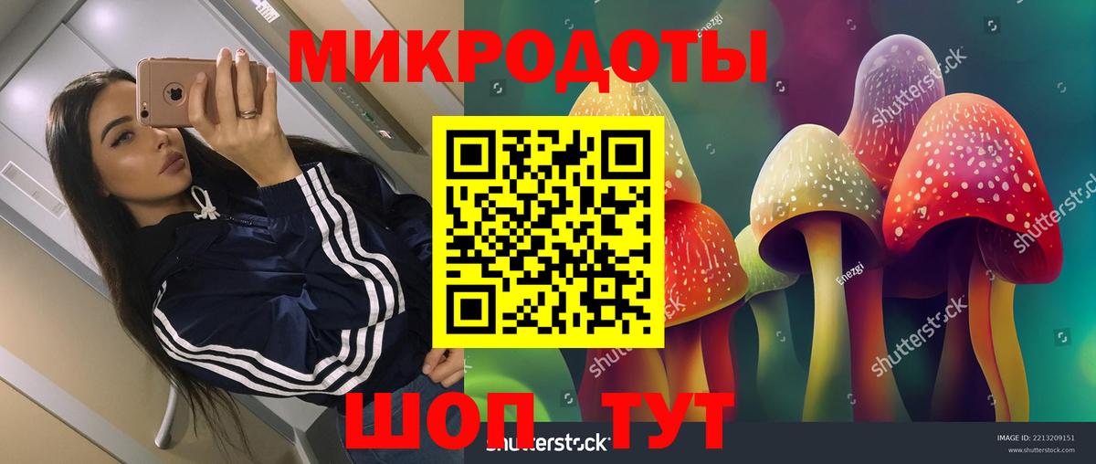 Псилоцибиновые грибы Cubensis Татарск