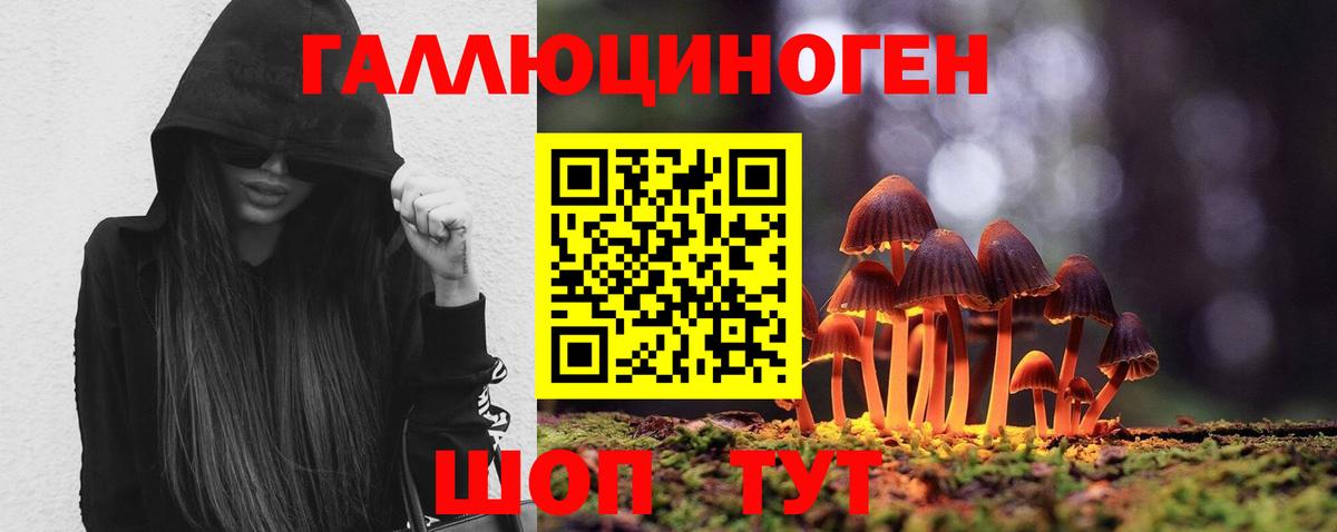 Галлюциногенные грибы MAGIC MUSHROOMS Татарск