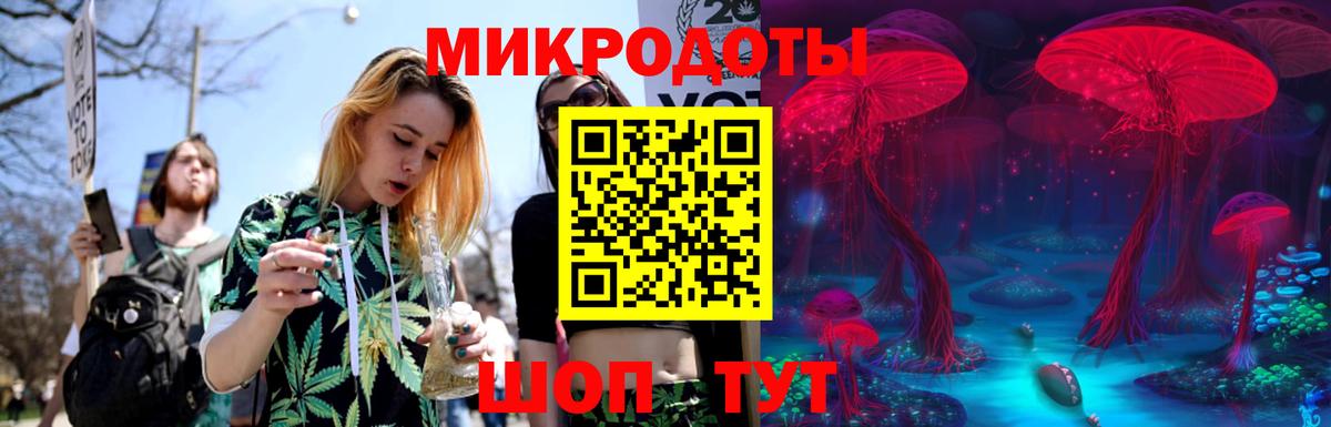 Татарск  Псилоцибиновые грибы Psilocybe  Галлюциногенные грибы MAGIC MUSHROOMS  Вход с VPN 