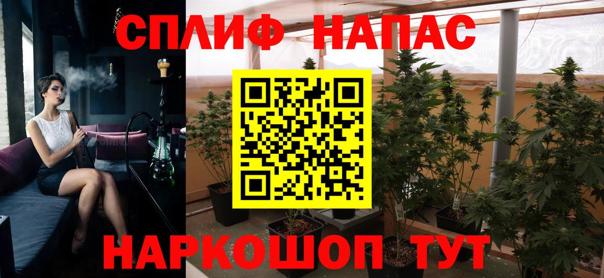 Конопля план Татарск